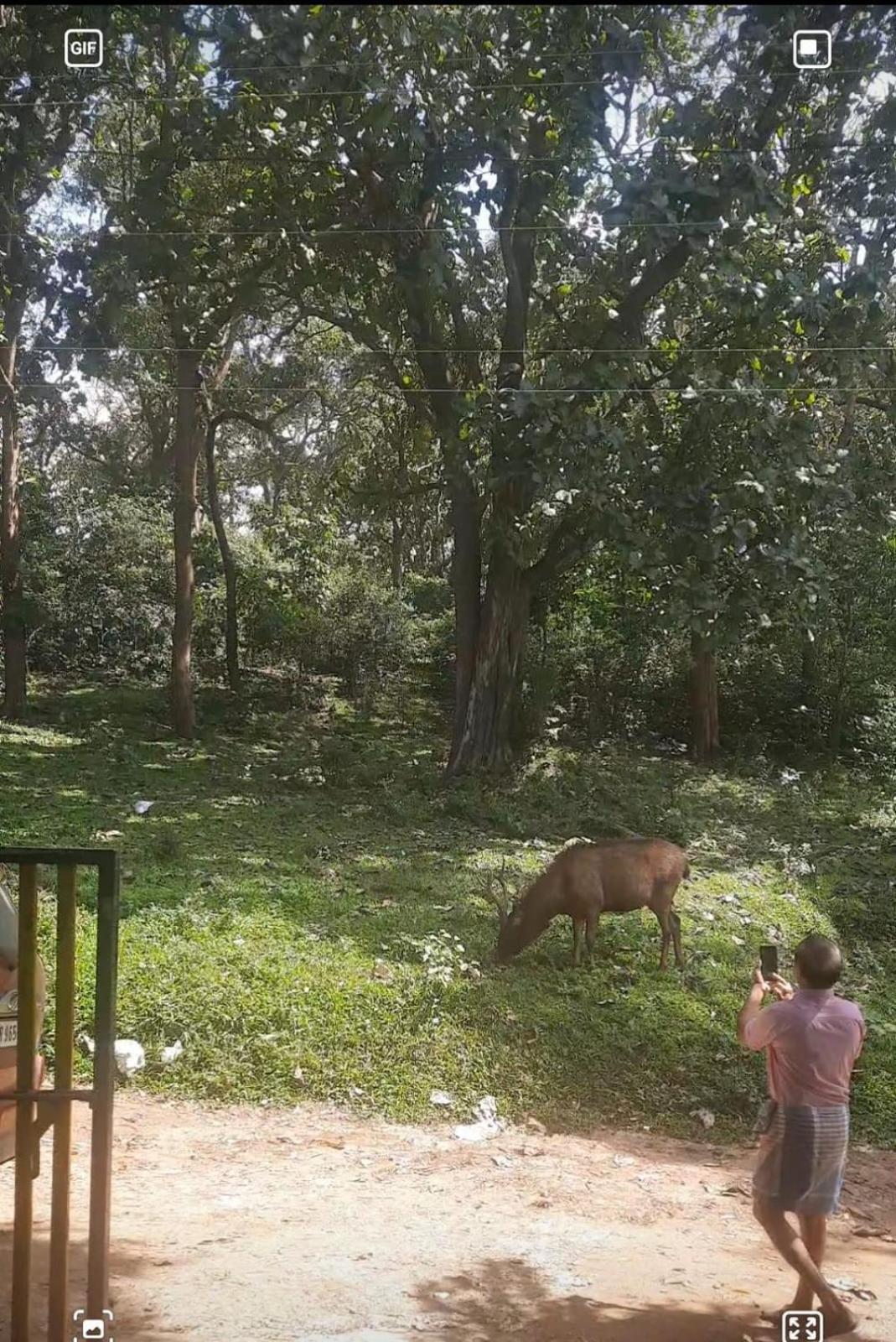 Wild Window - Forest View Homestay Thekkady Buitenkant foto