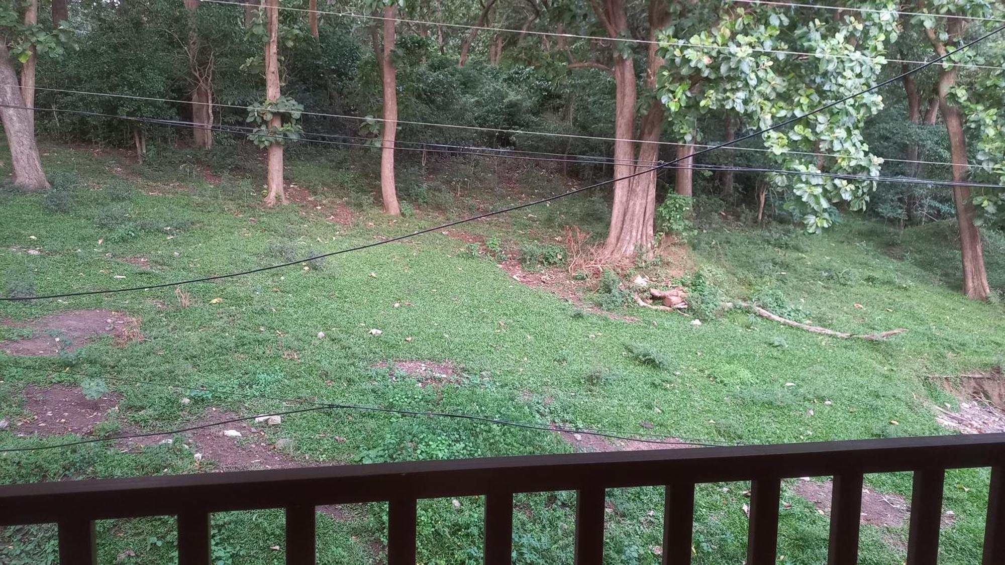 Wild Window - Forest View Homestay Thekkady Buitenkant foto