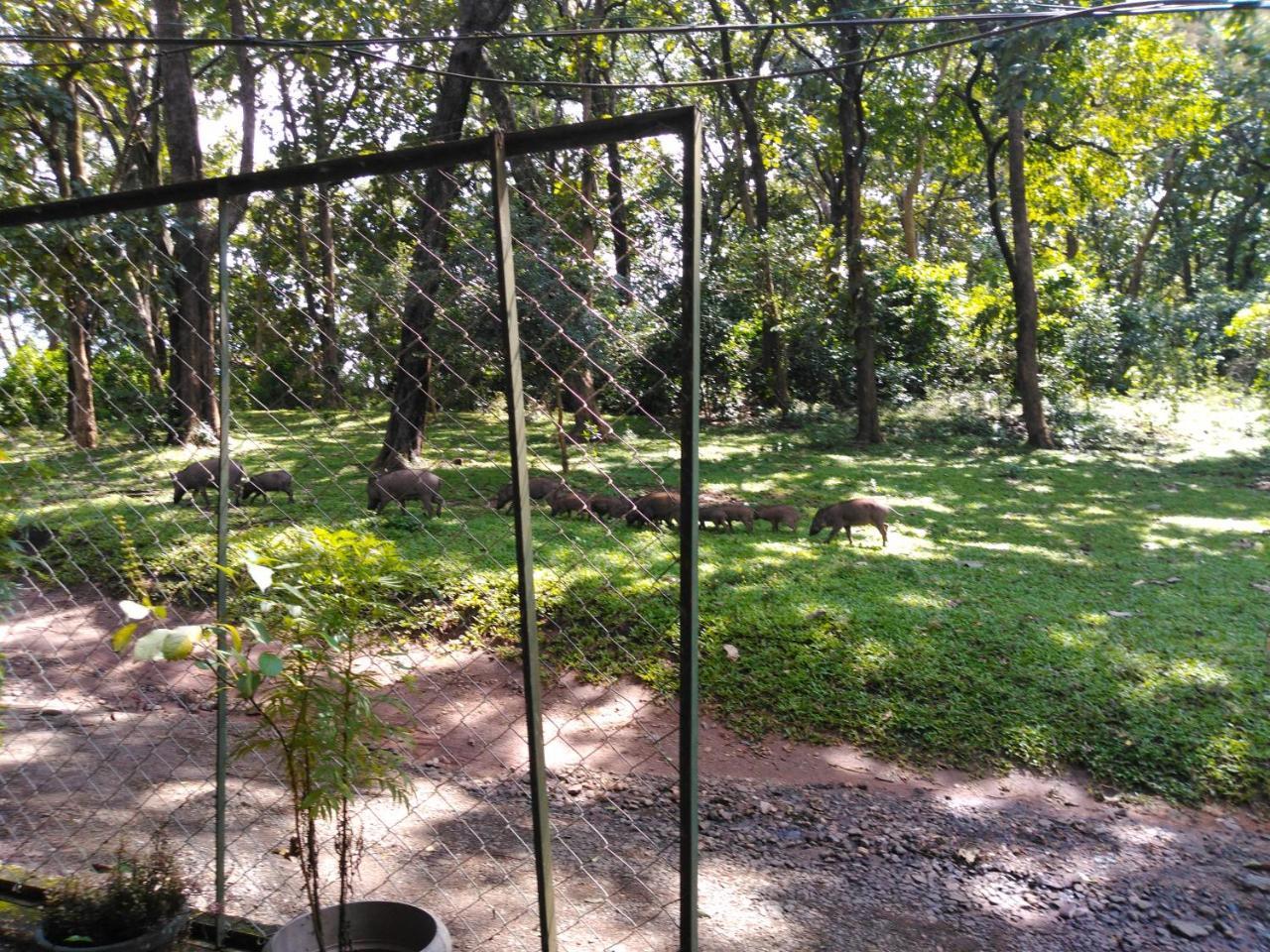 Wild Window - Forest View Homestay Thekkady Buitenkant foto