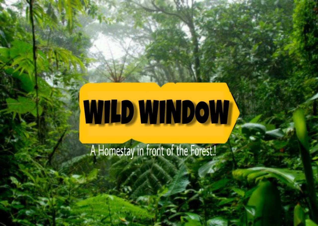 Wild Window - Forest View Homestay Thekkady Buitenkant foto